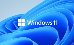 Windows 11 Home Lisans