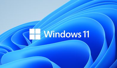 Windows 11 Home Lisans