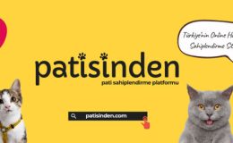 Köpek ilanları ve Kedi ilanları Rehberi